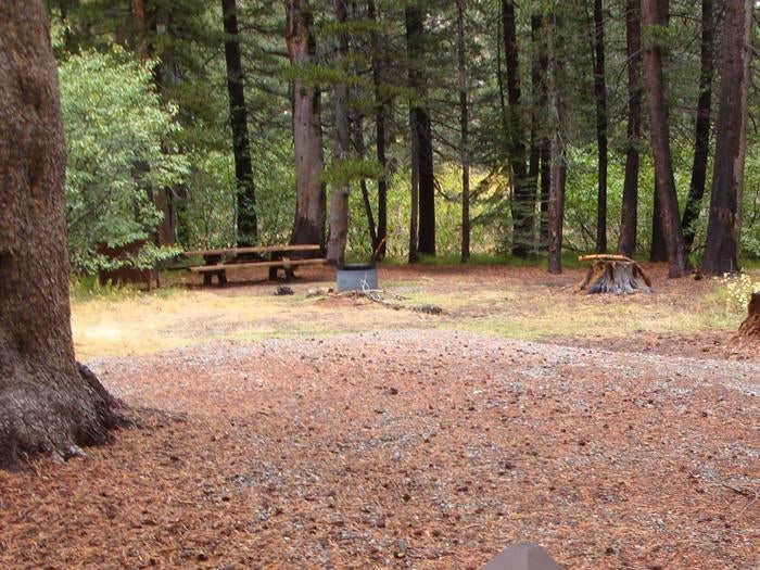 Camper submitted image from Agnew Meadows Horse Campground - 5