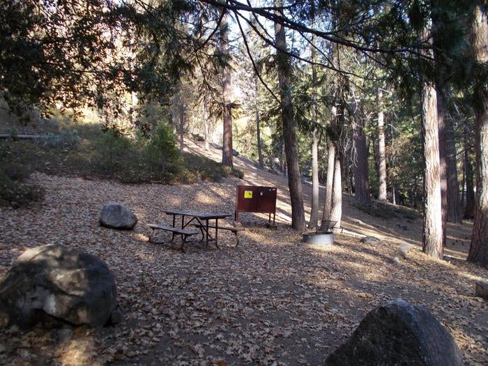 Camper submitted image from Wawona Campground — Yosemite National Park - 5