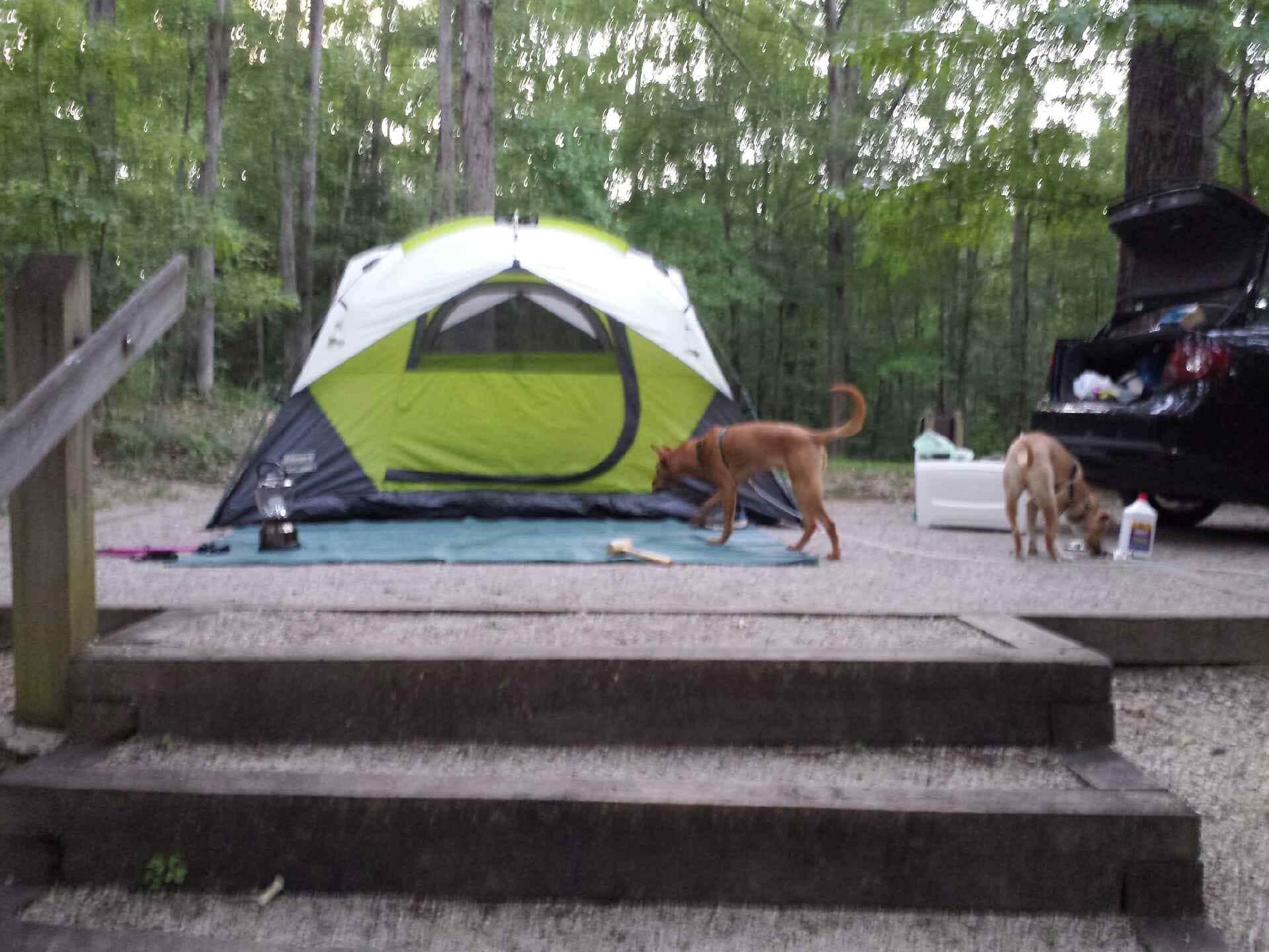 Debra W.'s photo at Koomer Ridge Campground — Daniel Boone National Forest near Daniel Boone National Forest