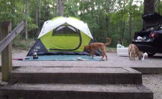 Debra W.'s photo at Koomer Ridge Campground — Daniel Boone National Forest near Salt Lick, KY
