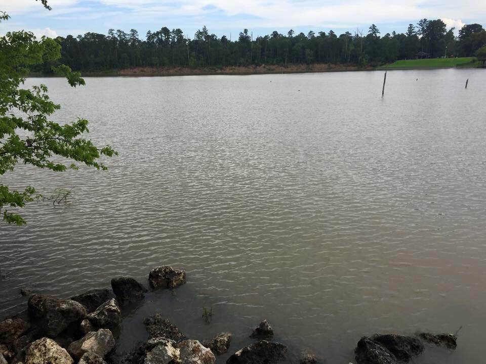 Camper-submitted photo at Lake Livingston State Park Campground near Steinhagen Lake
