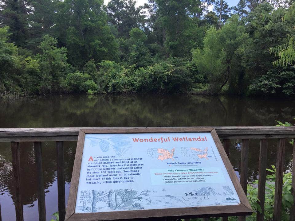 Camper submitted image from Lake Livingston State Park Campground - 2