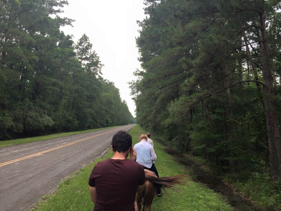 Camper submitted image from Lake Livingston State Park Campground - 3
