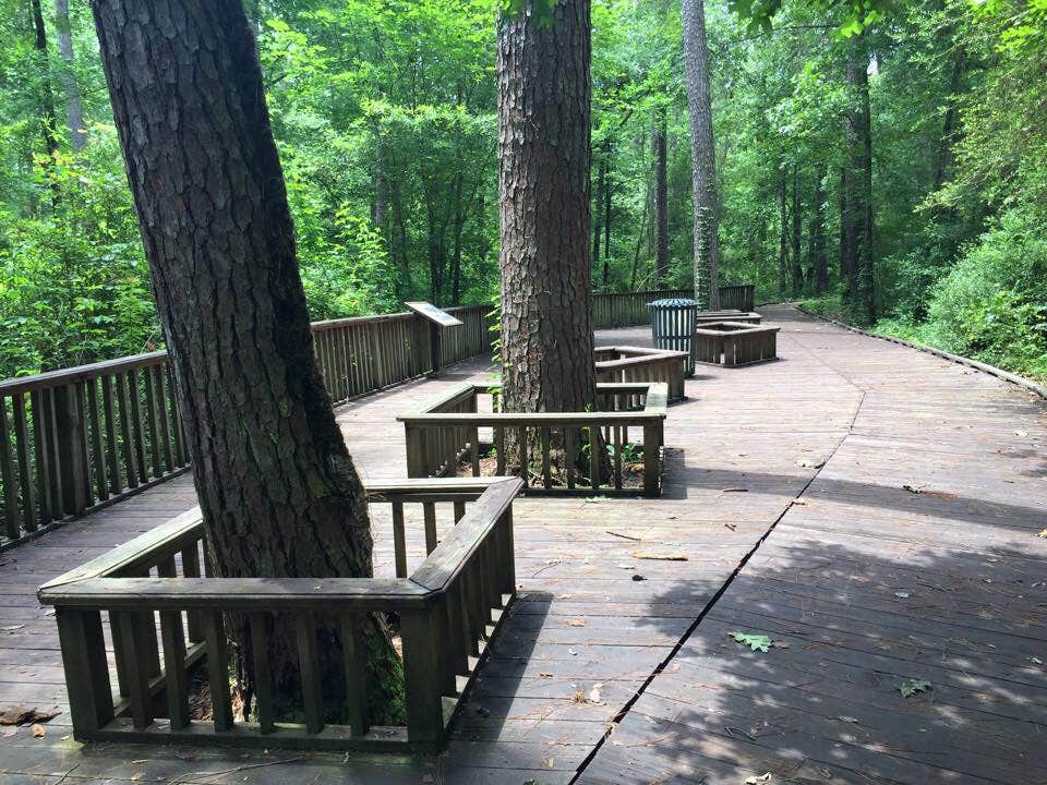 Camper submitted image from Lake Livingston State Park Campground - 3
