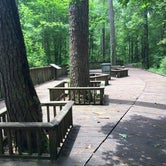 Review photo of Lake Livingston State Park Campground by Emily M., June 25, 2017
