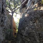 Review photo of Primitive Area — Lake Mineral Wells State Park by Emily M., June 25, 2017