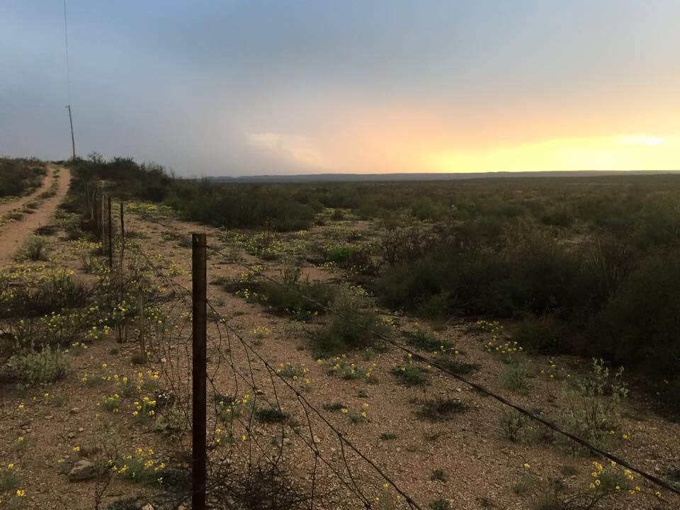 Camper submitted image from Seminole Canyon State Park Campground - 3