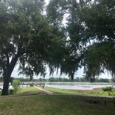 Review photo of Brazos Bend State Park Campground by Emily M., June 25, 2017