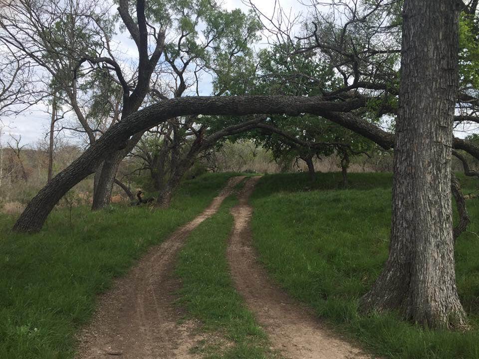 Camper submitted image from South Llano River State Park Campground - 3