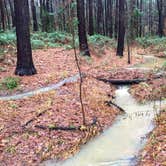 Review photo of Tyler State Park Campground by Emily M., June 25, 2017