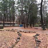 Review photo of Tyler State Park Campground by Emily M., June 25, 2017