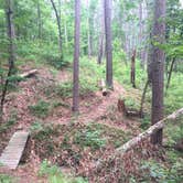 Review photo of Mission Tejas State Park Campground by Emily M., June 25, 2017