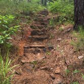 Review photo of Mission Tejas State Park Campground by Emily M., June 25, 2017