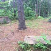 Review photo of Mission Tejas State Park Campground by Emily M., June 25, 2017