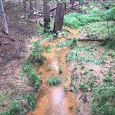 Review photo of Mission Tejas State Park Campground by Emily M., June 25, 2017