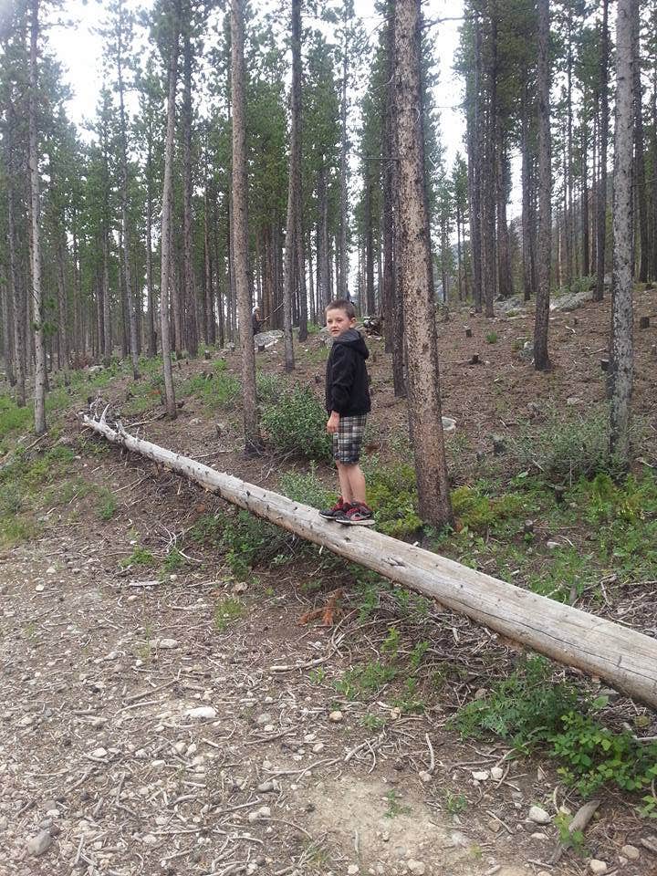 Camper submitted image from Greenough Lake - 4