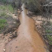 Review photo of Bastrop State Park Campground by Emily M., June 25, 2017