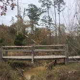 Review photo of Bastrop State Park Campground by Emily M., June 25, 2017