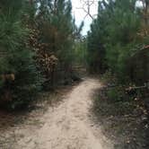 Review photo of Bastrop State Park Campground by Emily M., June 25, 2017