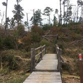 Review photo of Bastrop State Park Campground by Emily M., June 25, 2017