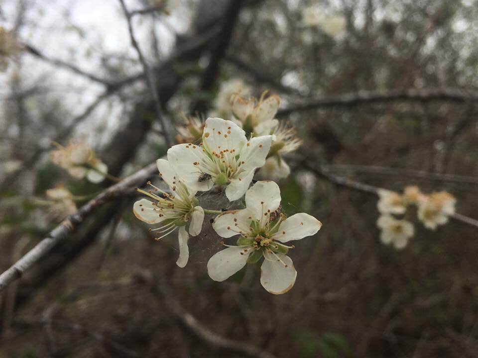 Camper submitted image from Lockhart State Park Campground - 2
