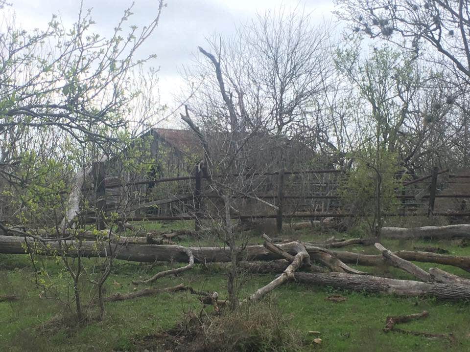 Camper-submitted photo at Lockhart State Park Campground near Kyle, TX