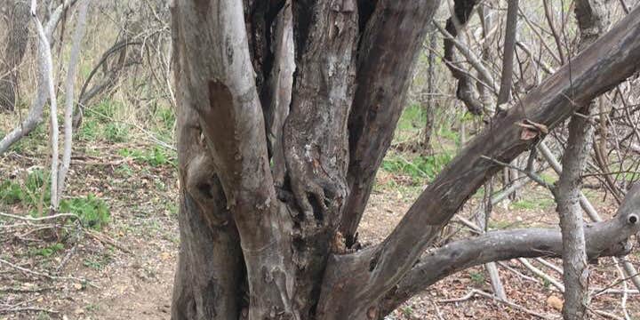 Camper submitted image from Lockhart State Park Campground