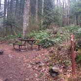 Review photo of Ainsworth State Park Campground by Sarah S., December 15, 2014
