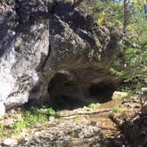 Review photo of Lost Maples State Natural Area by Emily M., June 25, 2017