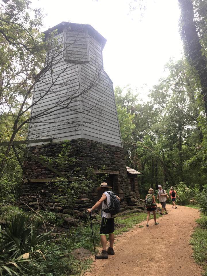 Camper submitted image from Palmetto State Park Campground - 3