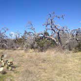 Review photo of Government Canyon State Natural Area by Emily M., June 25, 2017