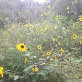 Review photo of McKinney Falls State Park Campground by Emily M., June 25, 2017