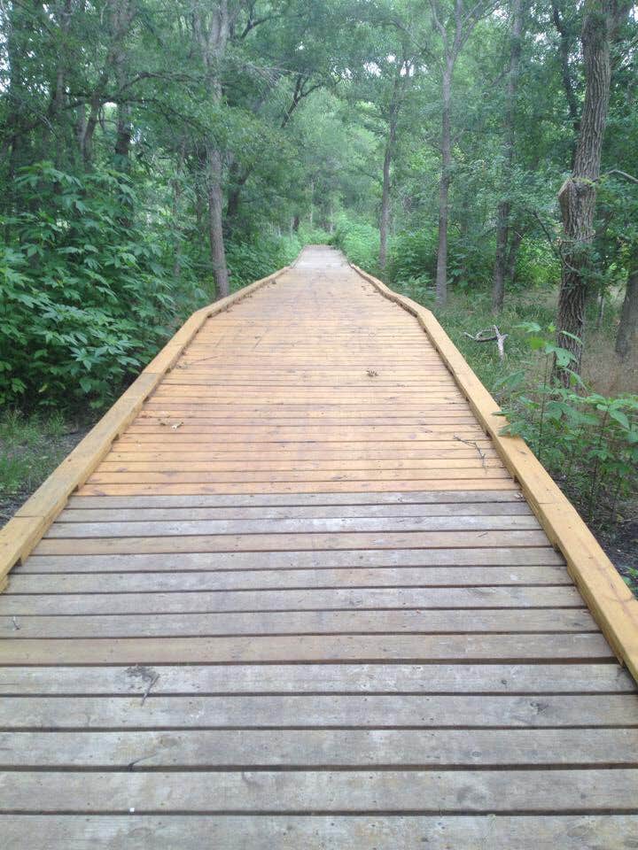 Camper submitted image from McKinney Falls State Park Campground - 5