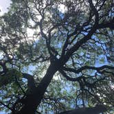 Review photo of Guadalupe River RV Park and Campgrounds by Emily M., June 25, 2017