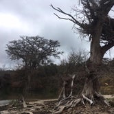 Review photo of Guadalupe River RV Park and Campgrounds by Emily M., June 25, 2017