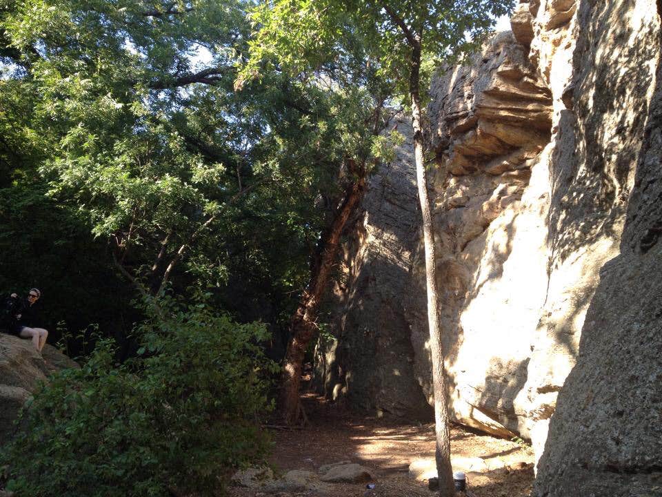 Primitive Area — Lake Mineral Wells State Park