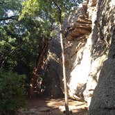 Review photo of Primitive Area — Lake Mineral Wells State Park by Emily M., June 25, 2017