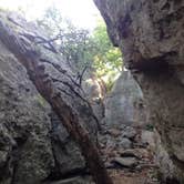 Review photo of Primitive Area — Lake Mineral Wells State Park by Emily M., June 25, 2017