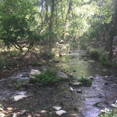 Review photo of Colorado Bend State Park Campground by Emily M., June 25, 2017