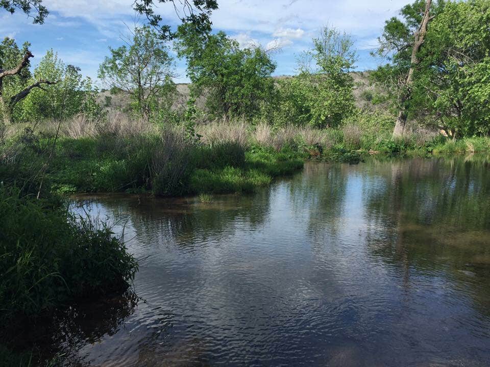 Camper submitted image from Sulphur Springs Camp - 4
