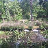 Review photo of Sulphur Springs Camp by Emily M., June 25, 2017