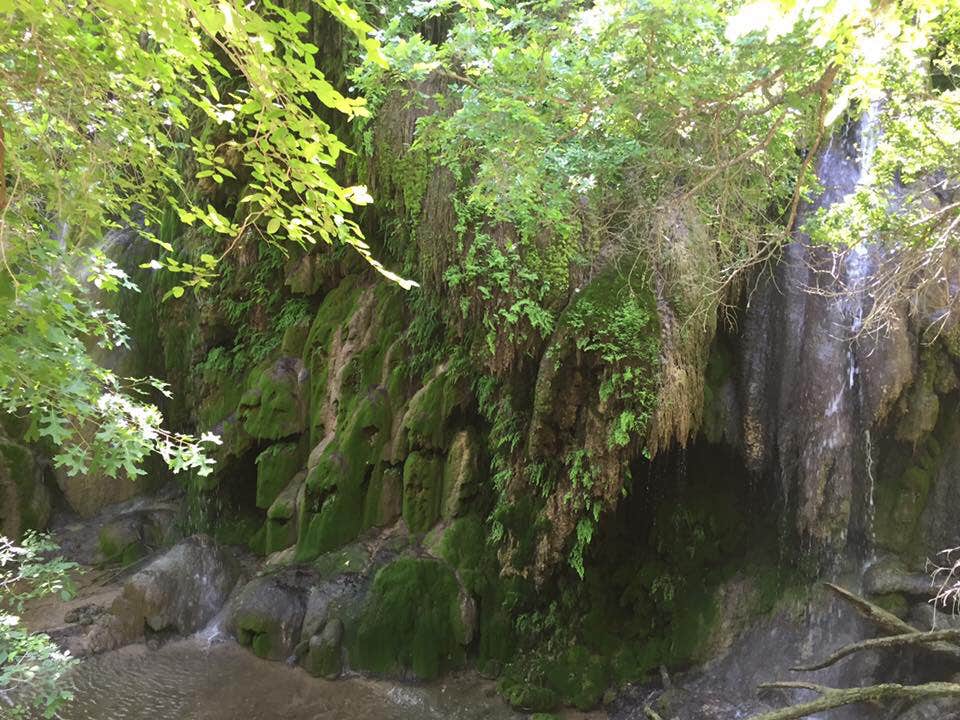 Camper submitted image from Sulphur Springs Camp - 1