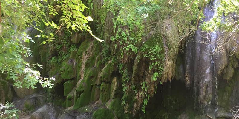 Camper submitted image from Sulphur Springs Camp