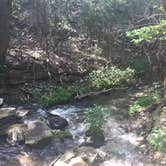 Review photo of Sulphur Springs Camp by Emily M., June 25, 2017