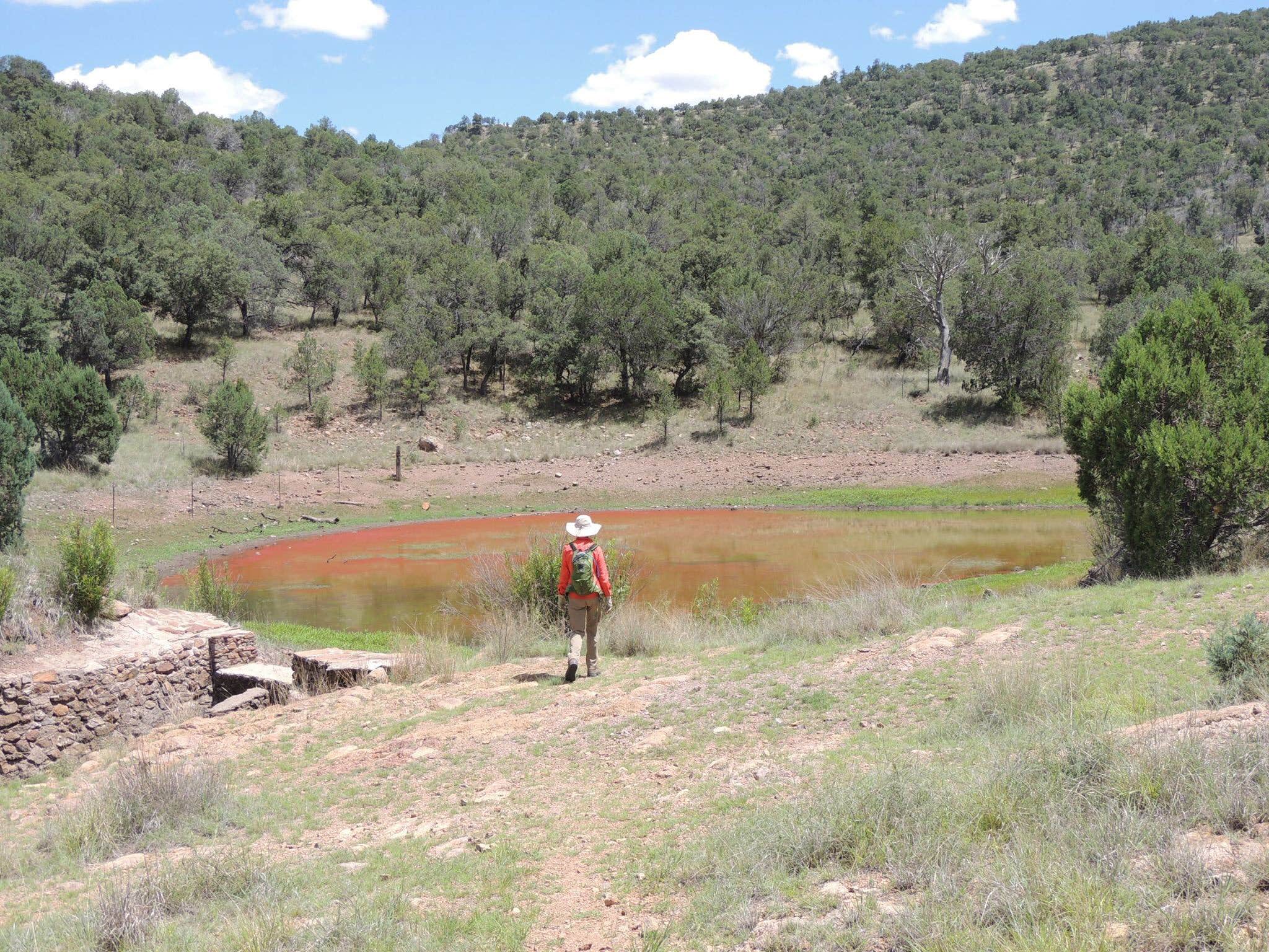 Camper submitted image from Davis Mountains State Park Campground - 3