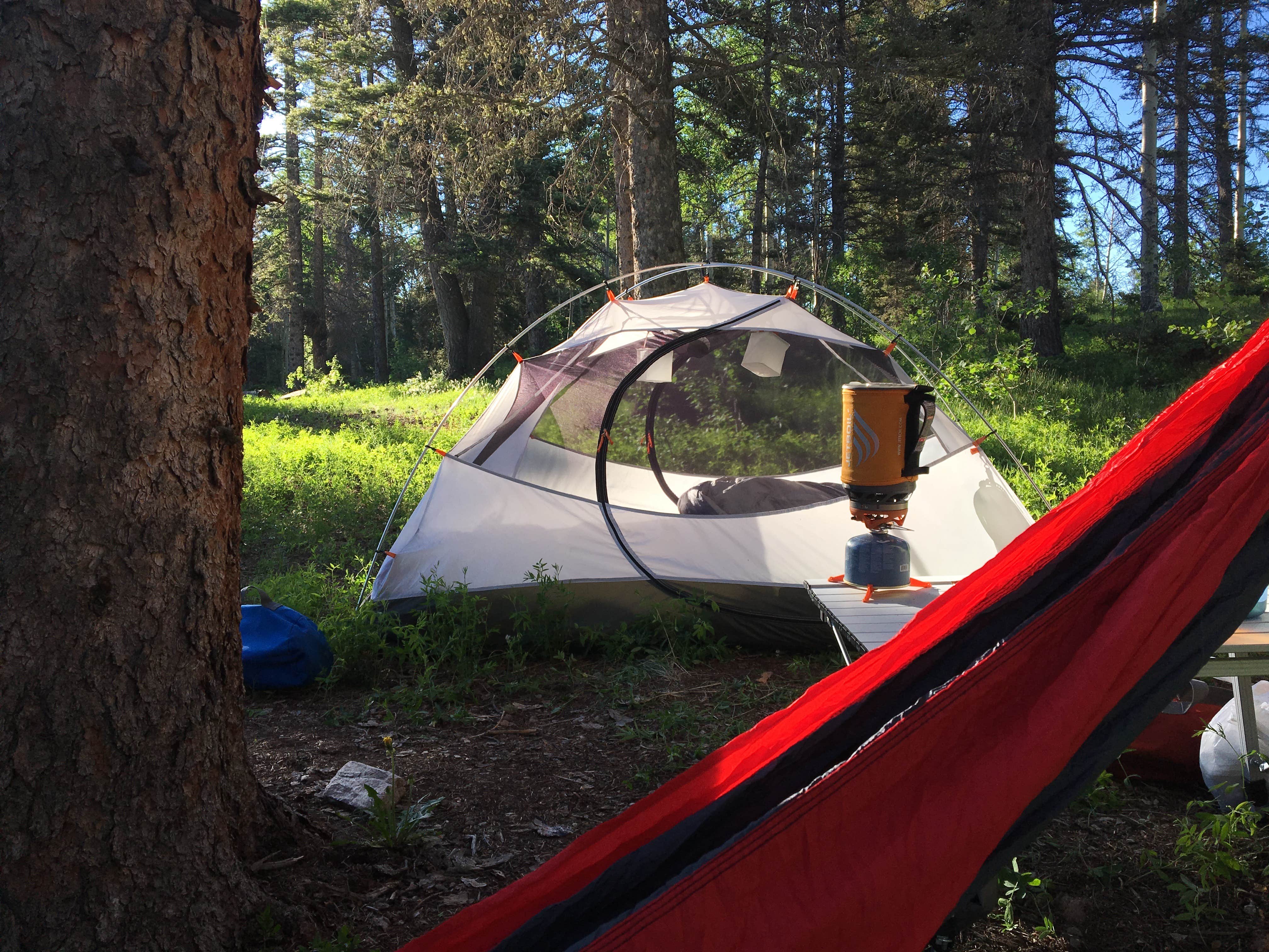 Tyler G.'s photo at Hopewell Lake Campground near Antonito, CO
