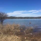 Review photo of Muleshoe Bend Recreation Area by Emily M., June 25, 2017