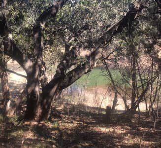 Camper-submitted photo from Muleshoe Bend Recreation Area