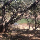 Review photo of Muleshoe Bend Recreation Area by Emily M., June 25, 2017