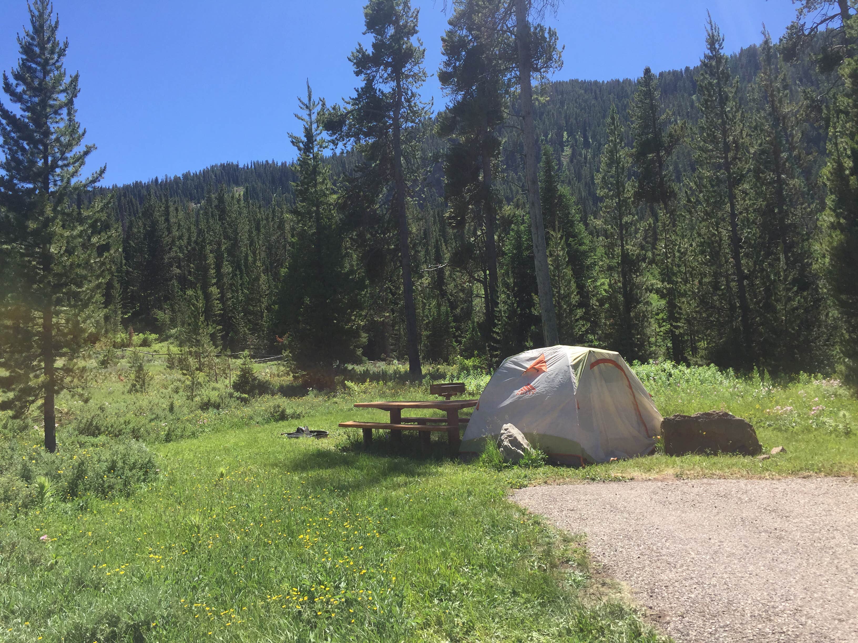 Camper-submitted photo at Kozy Campground near Bridger-Teton National Forest